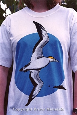  Gannet t-shirt
